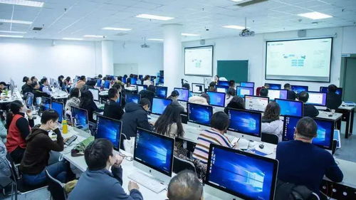 大连东软信息学院计算机科学与技术专业入选国家一流本科专业建设点，技术服务能力获得国家认可